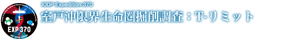 T-Limit of the Deep Biosphere off Muroto