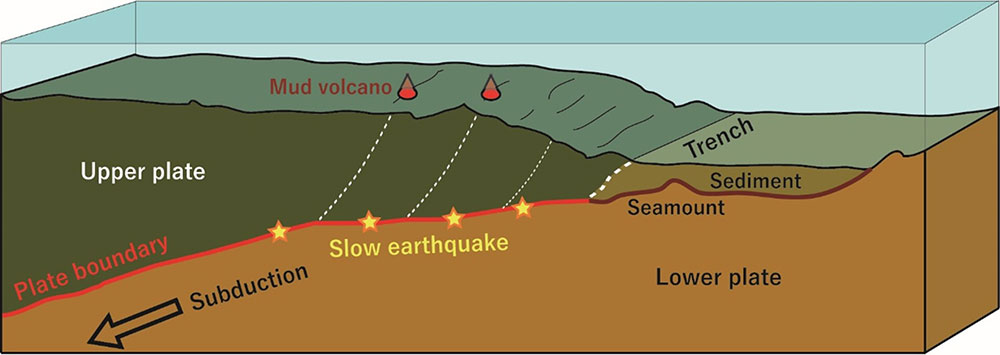 Conceptual diagram of a plate subduction zone