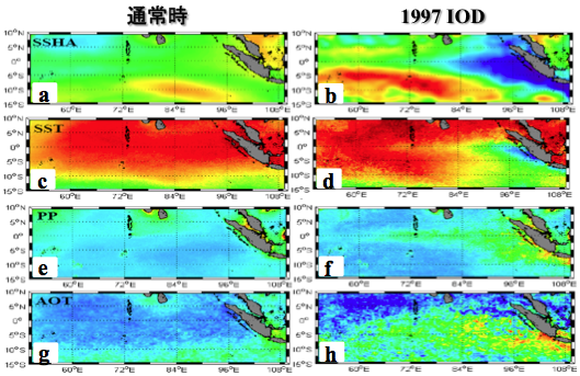 図2. インド洋赤道域の通常時と1997年ダイポールモード発生時の海洋と大気の状況。 (a) , (b) 海面高度 SSHA、 (c) , (d) 表面水温AVHRR SST、 (e), (f) 衛星データで見積もった一次生産力PP、 (g), (h) SeaWiFS エアロゾル光学厚さ（AOT）。