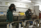 コアから硫化水素などの有毒ガスが発生する場合、安全のためガスマスクを付けて作業を行います。