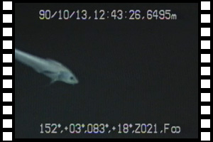 三陸沖において最初の最大深度6,500mの潜航　第30潜航 1990年10月13日
