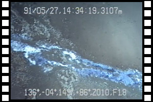 日本海奥尻海嶺で巨大バクテリアマット発見　第51潜航 1991年5月27日
