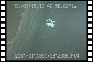 日本海溝で無数の巨大な亀裂、マネキンサイト発見　第67潜航 1991年7月15日