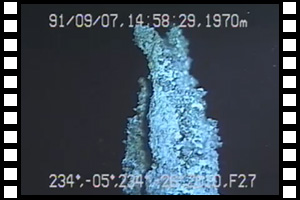 北フィジー海盆でホワイトスモーカーに再遭遇　第77潜航 1991年9月7日
