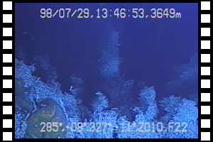 エビの群れとブラックスモーカー　第429潜航 1998年7月29日
