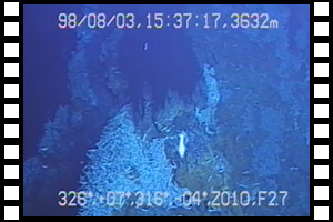 チムニーをゆっくり上昇　第433潜航 1998年8月3日