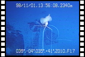 南西インド洋海嶺 第460潜航 1998年11月1日