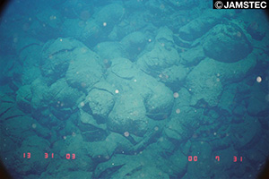 八重山海底地溝海域で観察した枕状溶岩