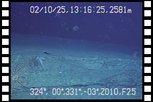 ジャワ島南西沖で確認された断層と推測される地形　第726潜航 2002年10月25日
