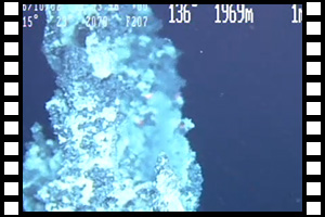 15年ぶりに北フィジー海盆の「ホワイトレディー」を再訪 第985潜航 2006年10月2日