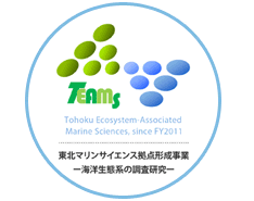 TEAMS logo