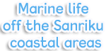 Encyclopedia: marine life off the Sanriku coastal areas.